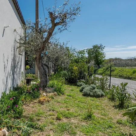 Villa Residenza Verdeoliva - Yourplace Abruzzo Rocca San Giovanni